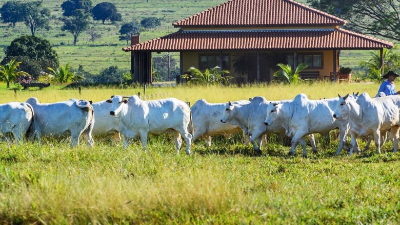 Palestras e visita técnica na Fazenda Modelo
